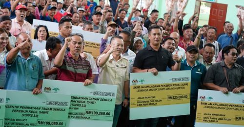 陈泓缣拨200万 供翻种小园主