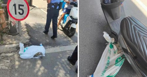 运送时死鳄鱼突然翻生！送货员怕到报警