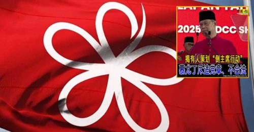 策划推翻慕尤丁 土团党揪出幕后主使