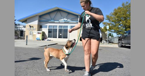 FBI烧毁毒品 14人吸入烟雾就医