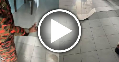 惊！地板突裂开 屋主喊有“蛇妖” 消拯员到场揭真相