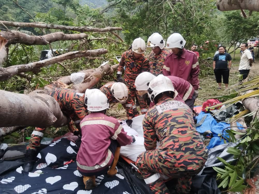 大树倒下压中露营地的帐篷，酿成一死两伤的惨剧。