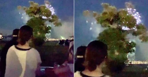 花2百多买靓位看烟花 她却“只看到1棵树”