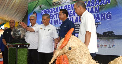 BUDI 95机制｜农民投诉补贴不足 农业部与财政部讨论