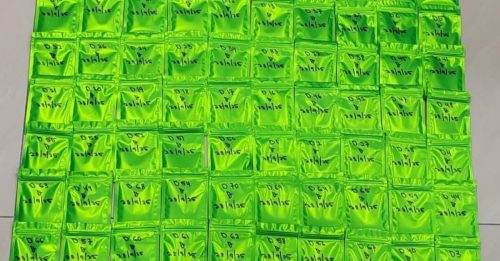 槟警破获贩毒集团 捕2人起获170万毒品