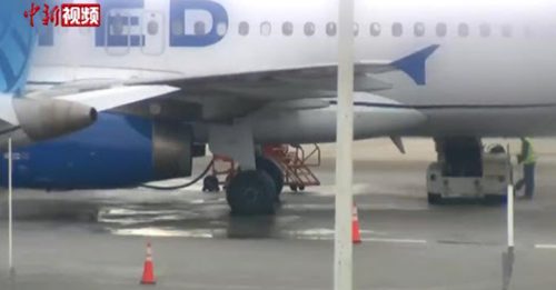 美航一飞机起落架舱内 发现偷渡者遗体