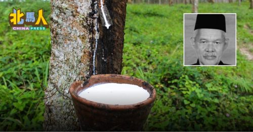 橡胶园惊现腐烂骸骨 证实是7旬老翁