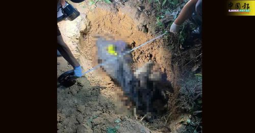 惊！商人遭谋杀埋尸 警追缉菲籍胶工｜附音频