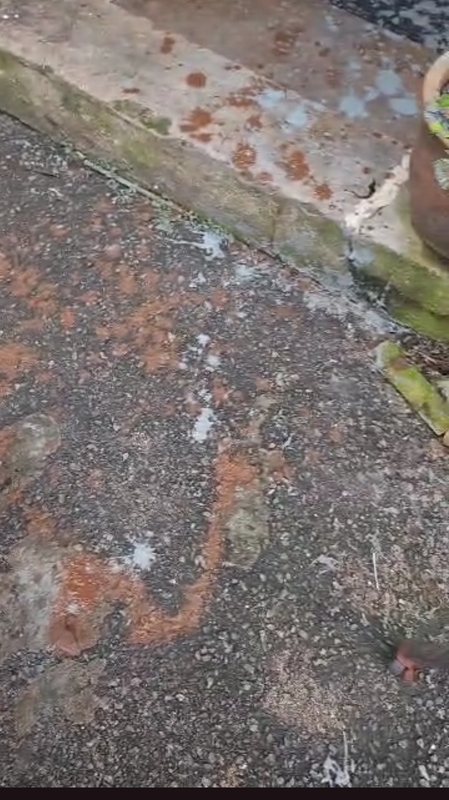 住家范围被泼漆和泼粪，场面一片狼藉。
