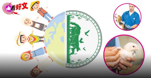 看好文：心见闻｜人畜是命运共同体 健康应相互守护