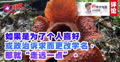 看好文｜宋明家：袁怀绍的“非科学”笑话