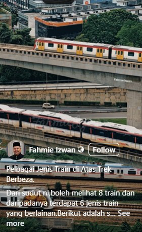 网友拍下各类列车同时穿梭在各自轨道的画面。