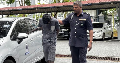 危驾致死警员儿 印裔男 不认罪