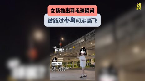 动新闻｜傻眼！2女孩户外打羽球 球被鸟叼走