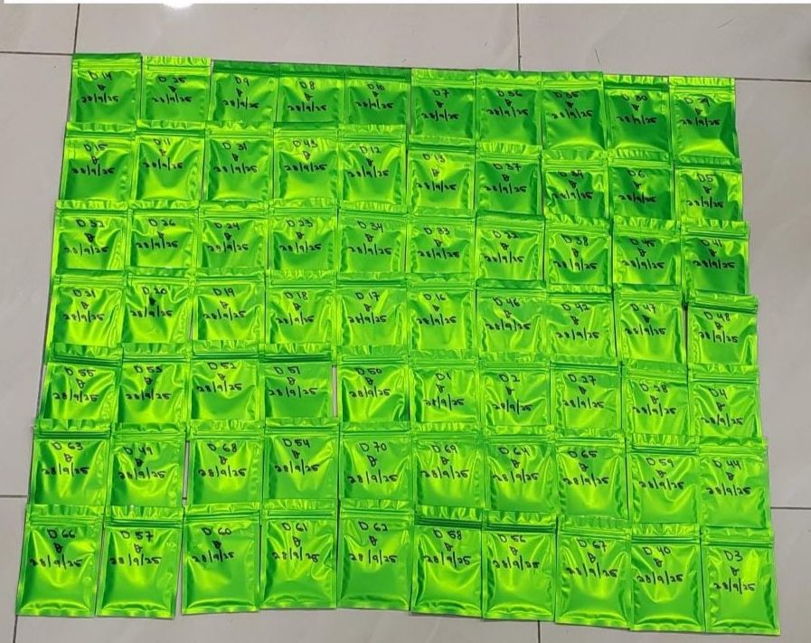 嫌犯将毒品装入多个不起眼的小包装内，企图掩人耳目。