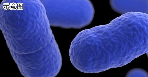 美15州爆李斯特菌感染 至少19人住院4人死亡