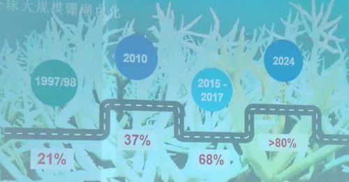 气候变化致大规模白化 大马珊瑚死亡率40%
