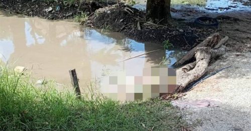 坠落门前灌溉运河 88岁老妇溺毙