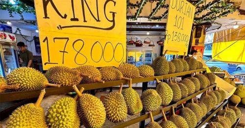 印尼议员称大马榴梿走私泛滥 峇淡岛：查无此事