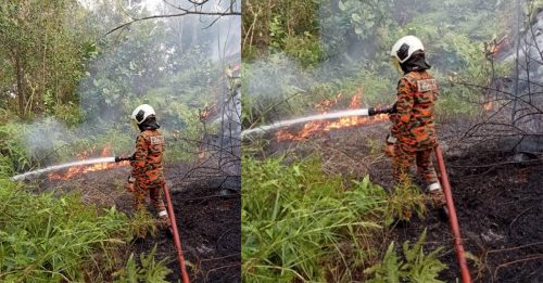 雪天鹅岛路森林失火 7消拯员奋战灭火
