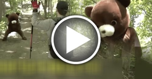 日本熊出没 日媒拍片教民众如何自保 熊公仔太可爱失焦点