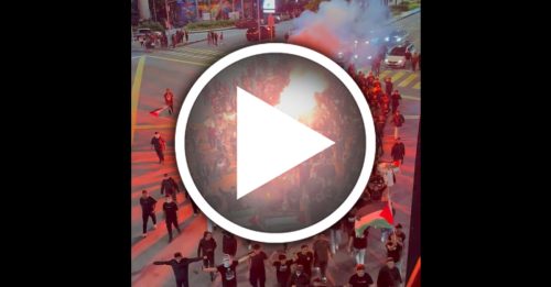 以军拦截人道船｜声援集会后逾百人火把游行 高喊释放23大马志工