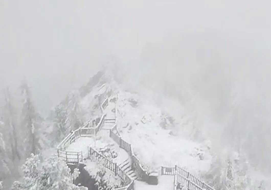 喀纳斯景区下雪图片。