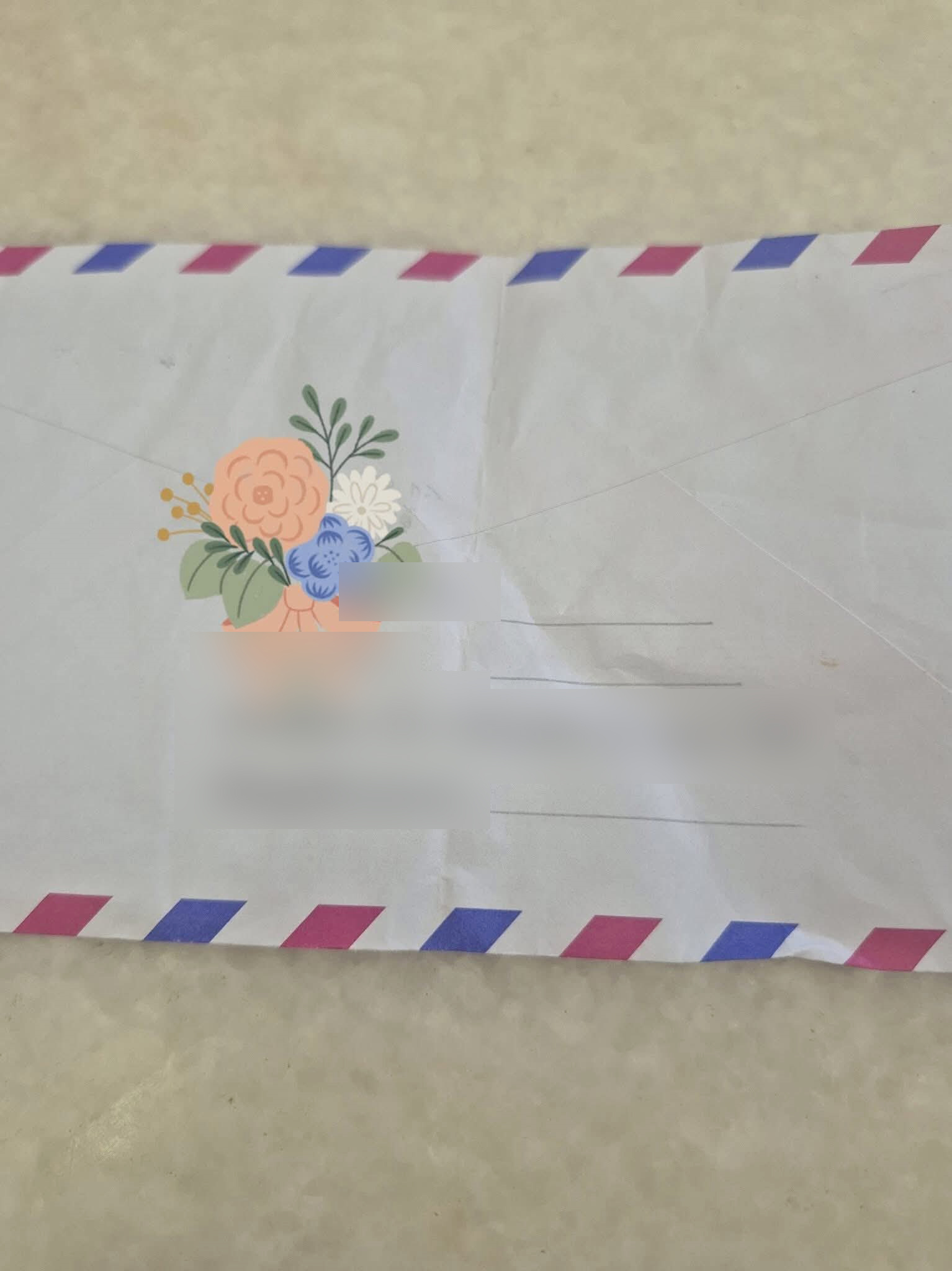 女子在日本运毒,被判处监禁后,透过写信方式将家书寄回国。