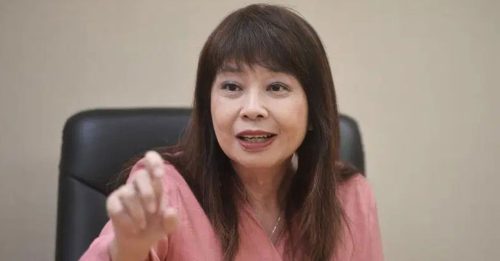 BUDI 95机制｜林慧英促慈善团体 向财部申请 出行车享全补贴燃油