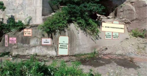 蜀道考古石刻新发现 明代禁早婚 违者枷责