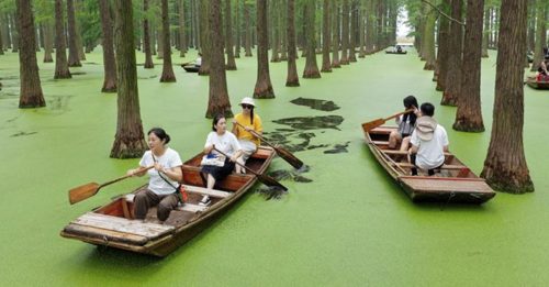 中国黄金周前半程 12.43亿人次出行创新高