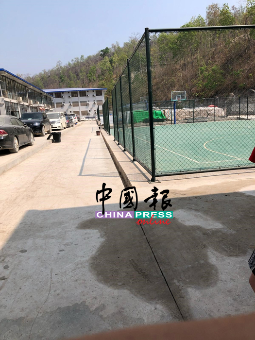 园区内甚至还有篮球场，供猪仔休闲活动。（受访者提供）