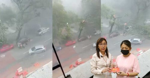 遭断树干砸中背部 17岁女生伤势严重