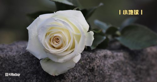 小地球｜小雪：他们的名字