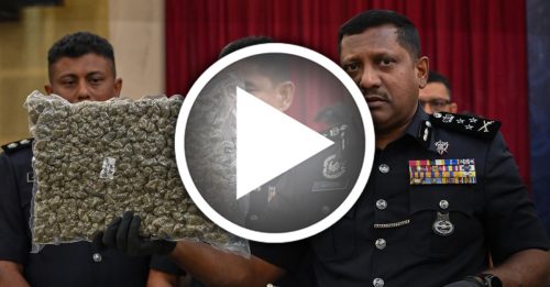 7华巫印合伙贩毒被侦破 警起590万大麻