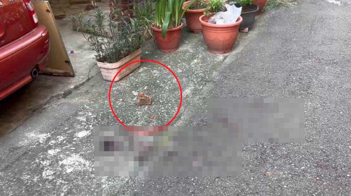 现场血迹斑斑地上还留有行凶的砖头。