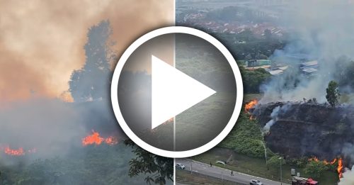 疑闪电击中！3英亩林地陷火海