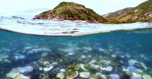 地球已达灾难性临界点 报告：关键生态系统濒崩溃