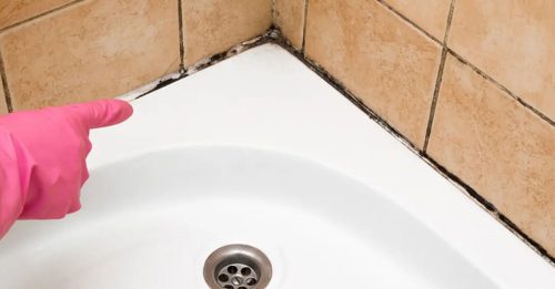 潮湿闷热易滋生霉菌 长期吸入恐酿肝癌又失智