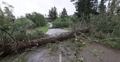 纽西兰强风吹袭南北岛 9万户停电屋顶掀飞 树木倒塌