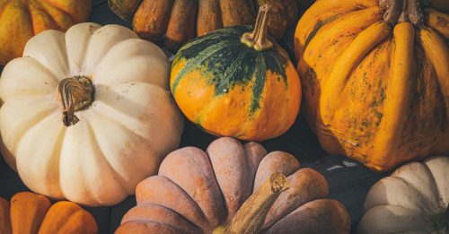 食在好吃｜南瓜 万圣节百变美味