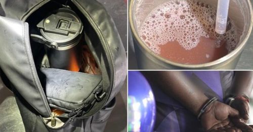 大马男疑携葛冬水 图闯狮城关卡被捕