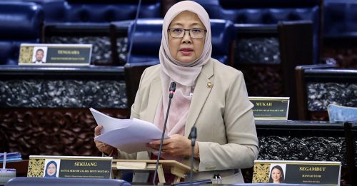 扎丽哈：网红为博流量 未注册派食物给流浪汉 或面对严厉行动