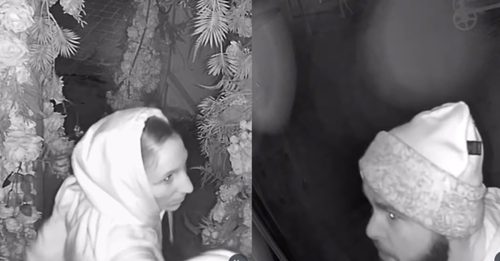 餐厅玫瑰花装饰太浪漫 鸳鸯贼先激情再干案