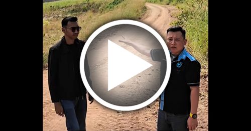 缅军轰炸非核心地带 MHO促根除KK园区势力