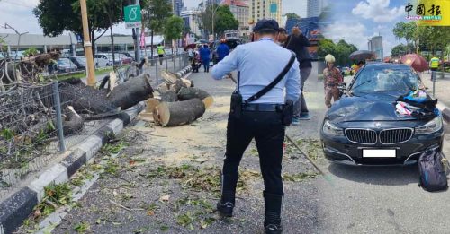 隆敦拉萨路树倒　宝马轿车遭殃