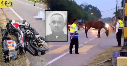 上班途中撞马儿 清洁工友伤重不治