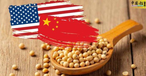 贝森特：中国今年将买 1200万吨美国黄豆