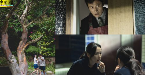 看电影｜李炳宪疯魔演出突破极限 孙艺珍产后复出演杀人魔妻子