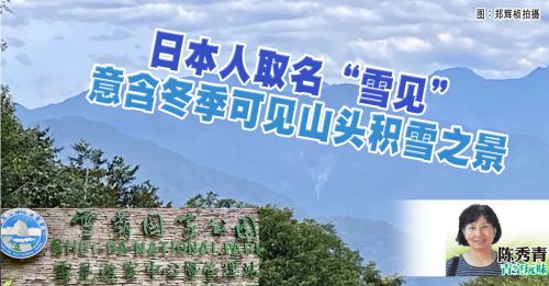 陈秀青：雪见游客中心森林浴